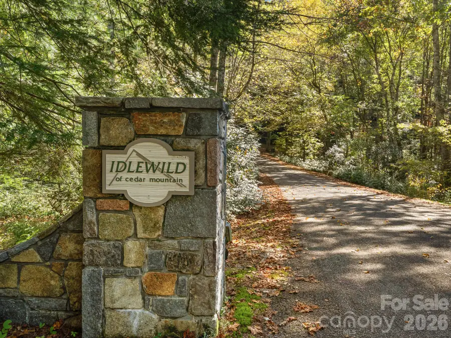 Lot 15 Spanish Oak Drive #15, Cedar Mountain, NC 28718 - #3