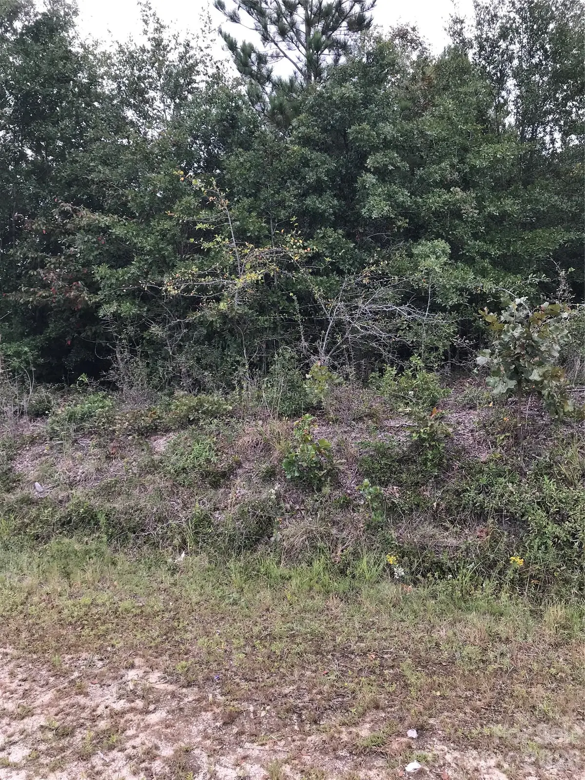 4090 Travellers Road, Kershaw, SC 29067 - #1