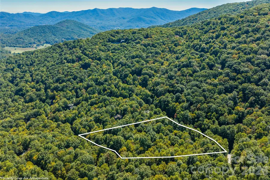 29 Wood Haven Lane, Black Mountain, NC 28711 - #2