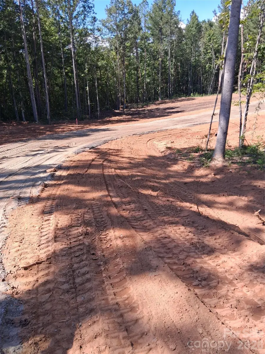 115 Vein Mountain Road #5, Dysartsville, NC 28761 - #3