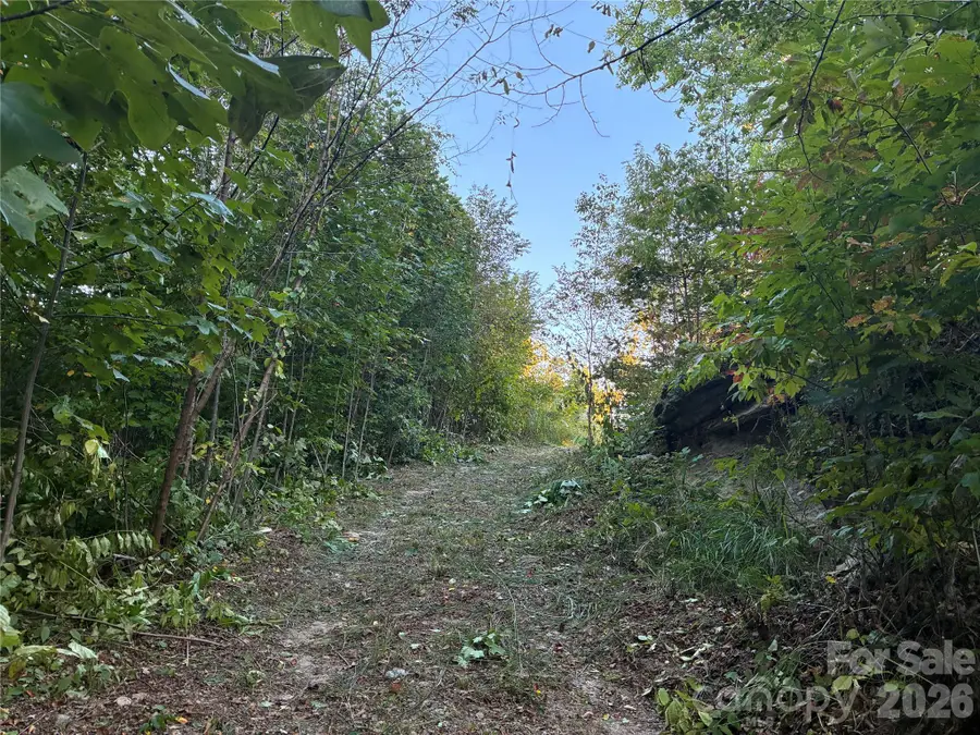 0 Corn Mountain Road, Hendersonville, NC 28792 - #3