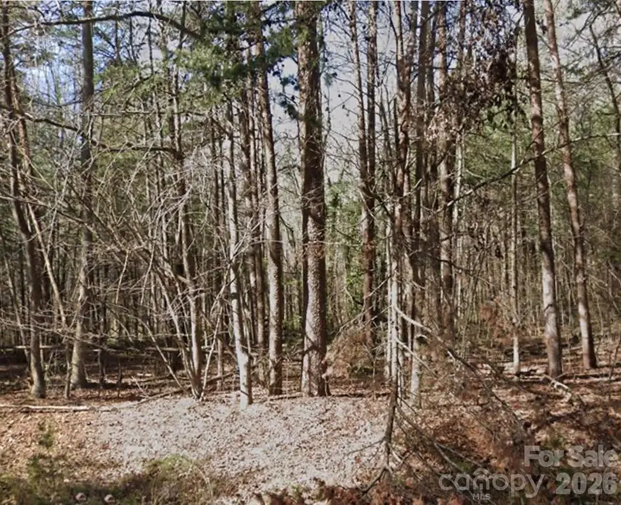 4832 Sierra Drive, Maiden, NC 28650 - #2
