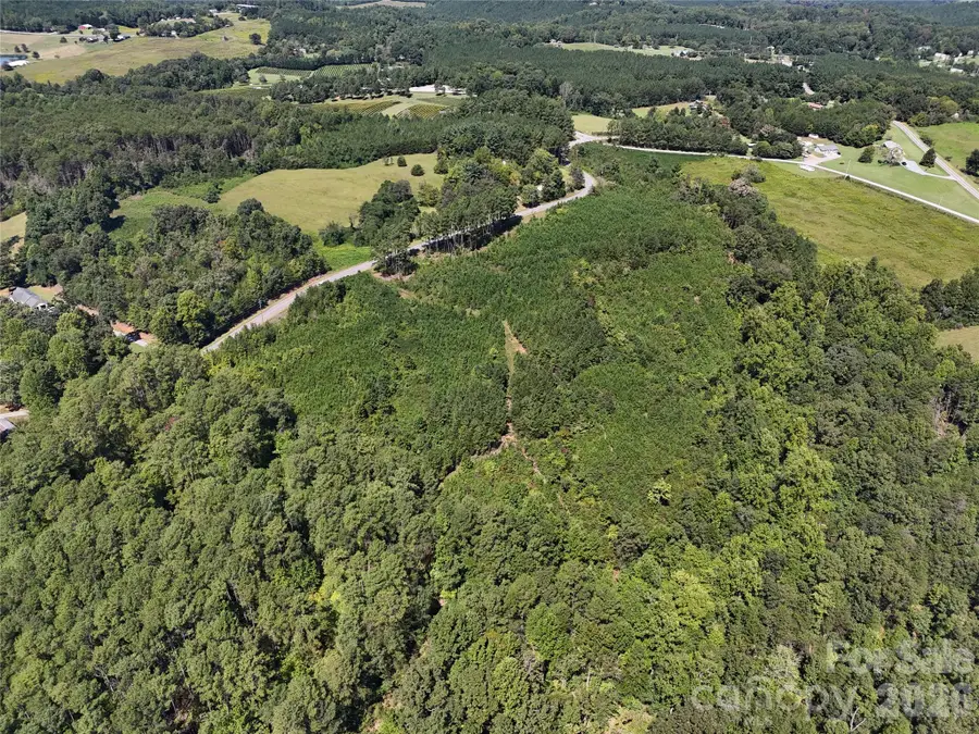 2125 Whiteside Road, Mill Spring, NC 28756 - #3