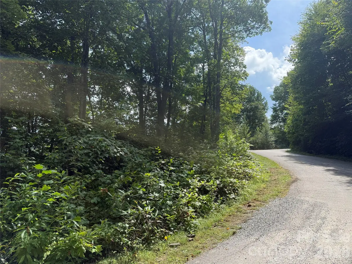 35 Chandra Lane, Clyde, NC 28721 - #1
