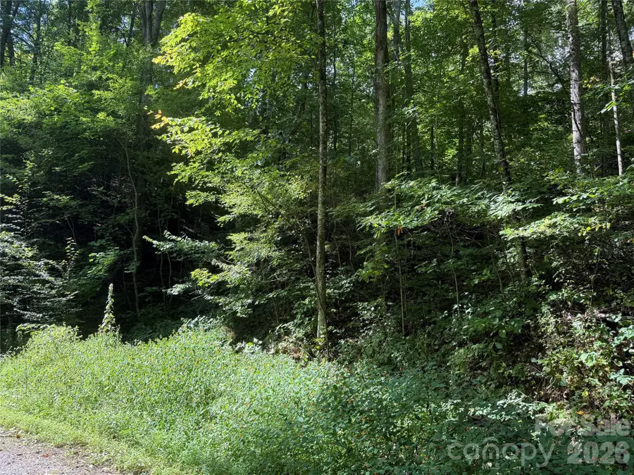 35 Chandra Lane, Clyde, NC 28721 - #3