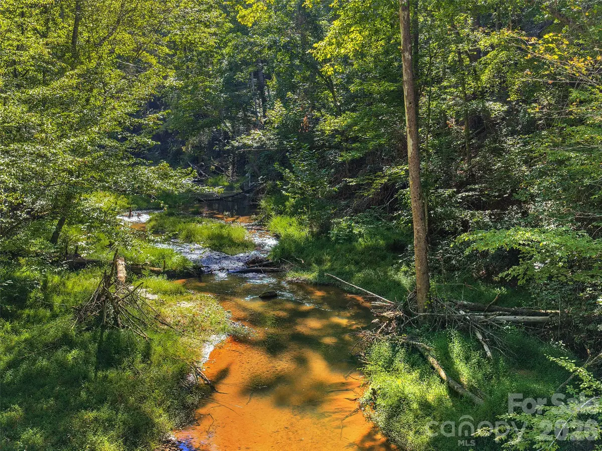 Lot # 17A Ostin Creek Trail, Mill Spring, NC 28756 - #1