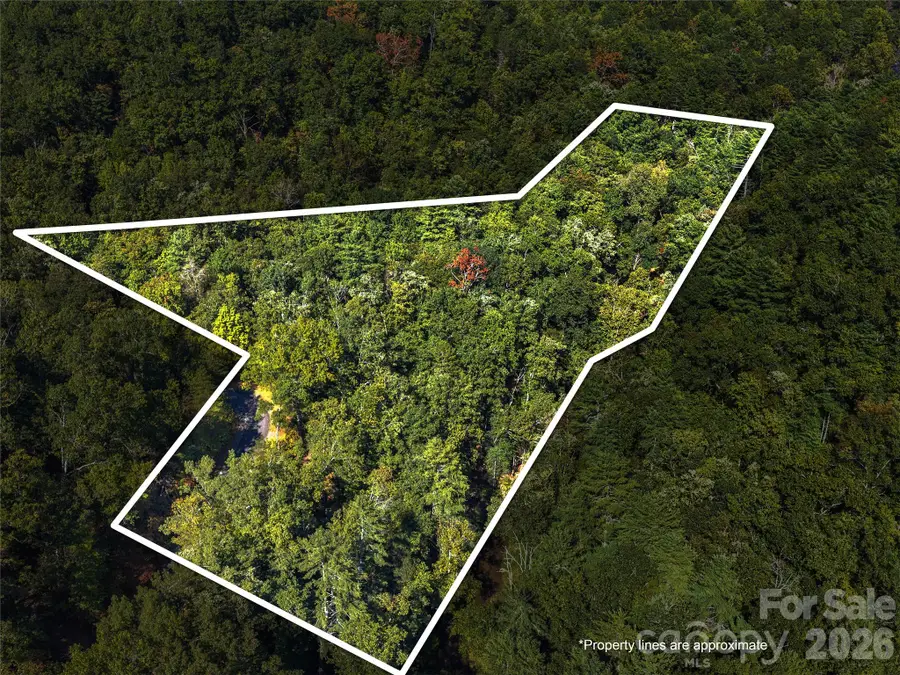 Lot # 17A Ostin Creek Trail, Mill Spring, NC 28756 - #3