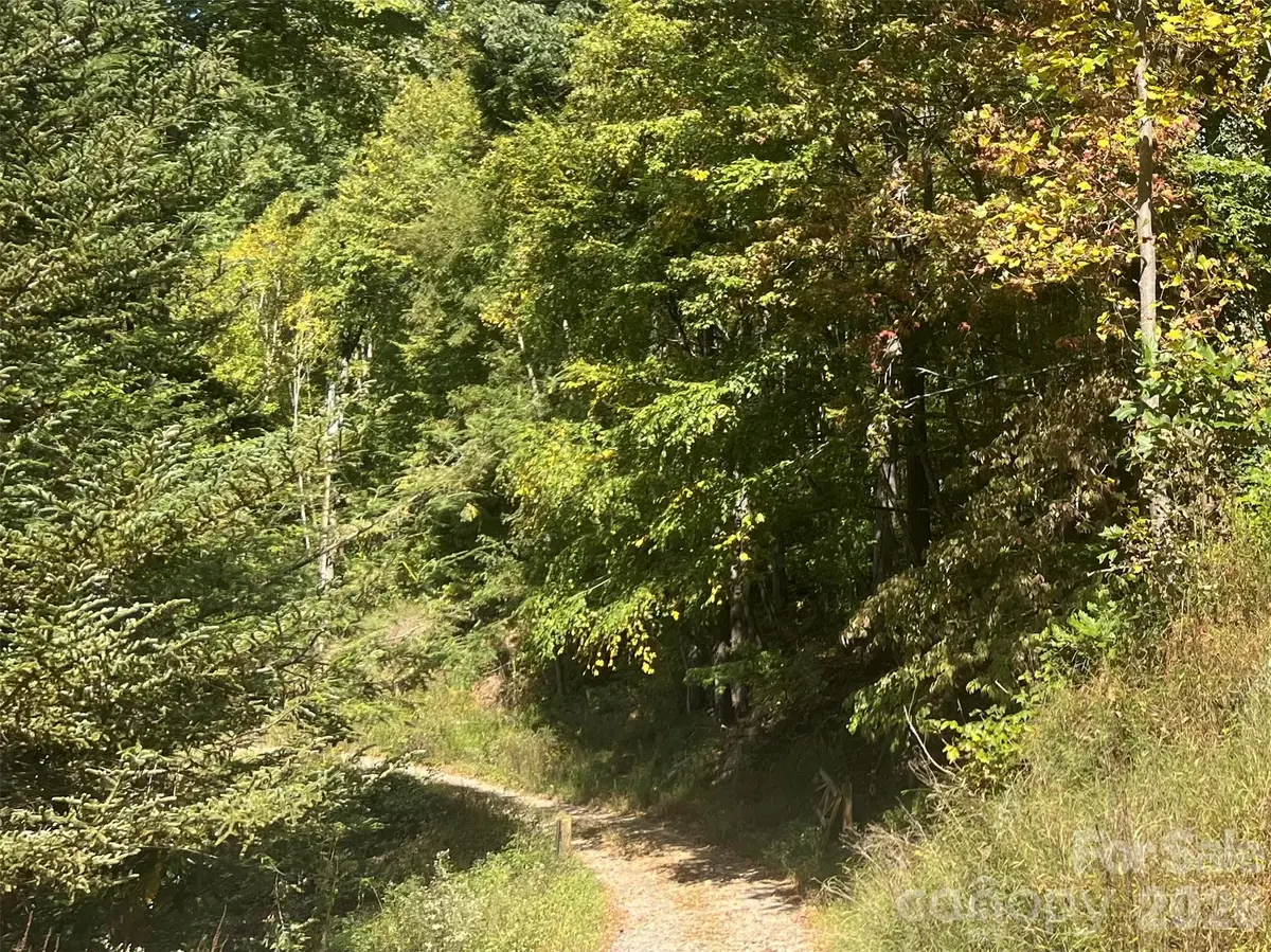 00 Gibson Branch Road #7, Clyde, NC 28721 - #1