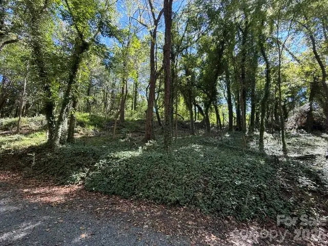 245 Dunlap Street, Albemarle, NC 28001 - #2