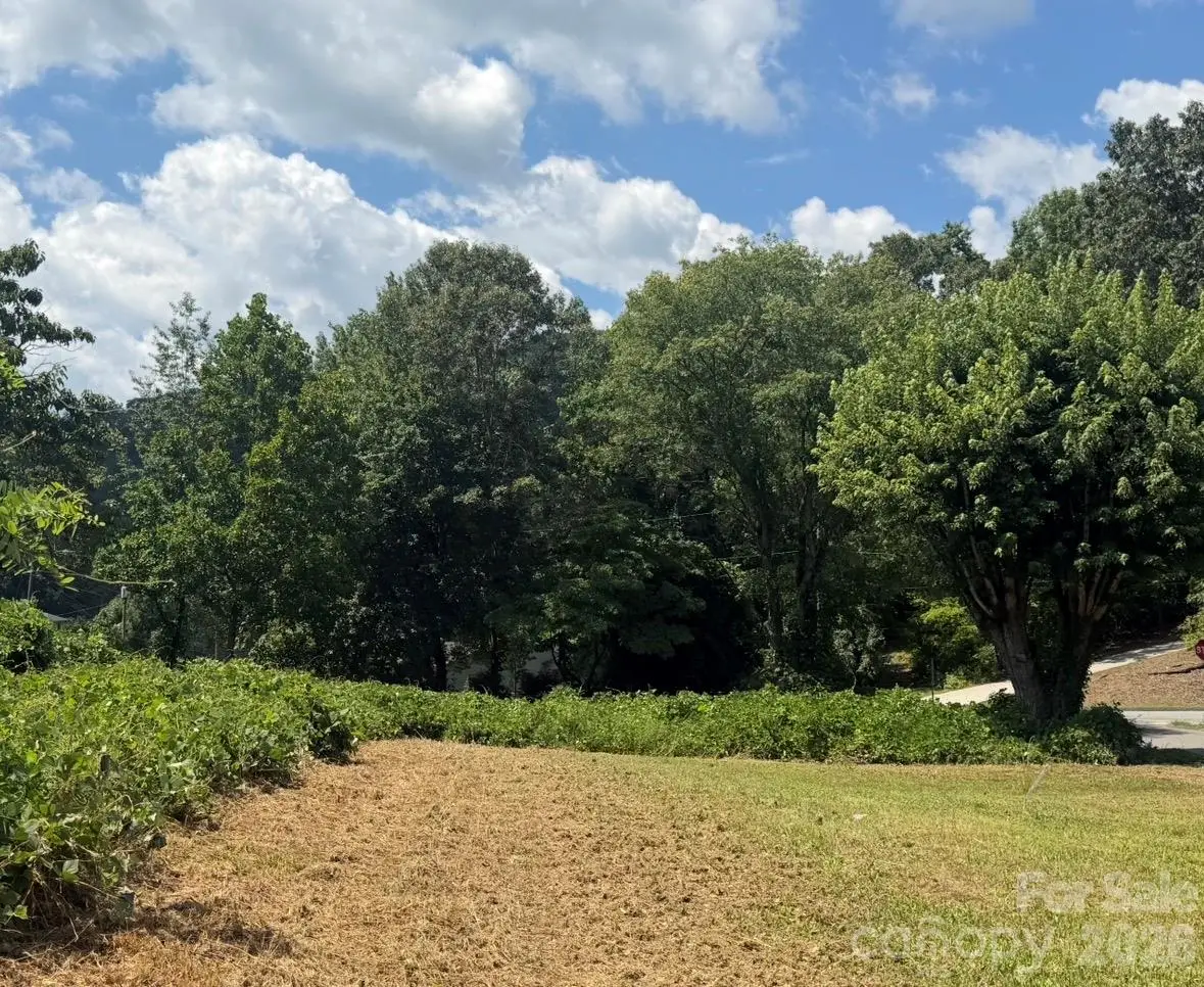 12 Alabama Avenue, Marion, NC 28752 - #1
