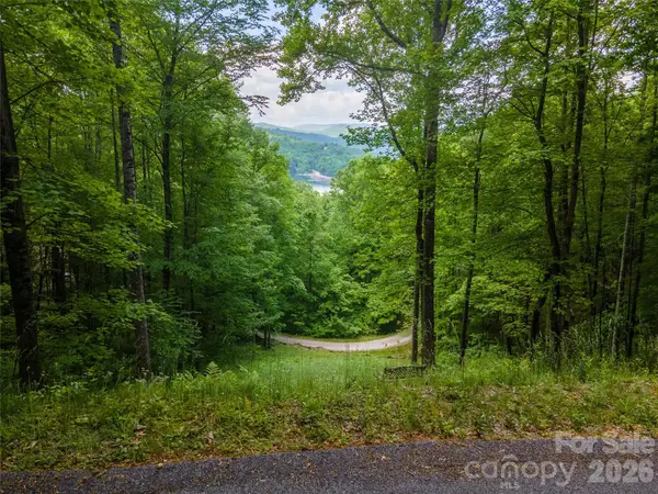 Lt 10 Von Trapp Lane #10, Tuckasegee, NC 28783