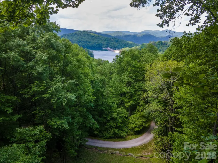 Lt 10 Von Trapp Lane #10, Tuckasegee, NC 28783 - #2