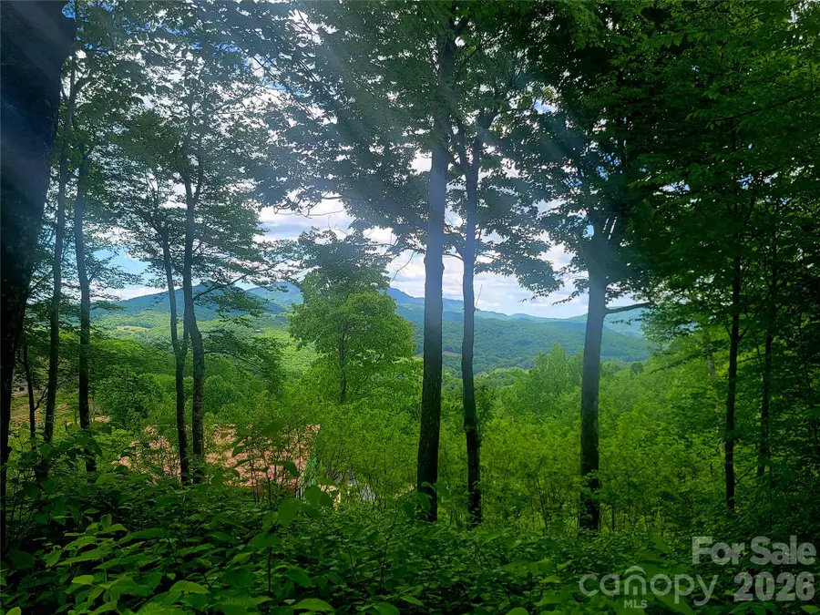 39 Skycamp Trail, Banner Elk, NC 28604 - #2