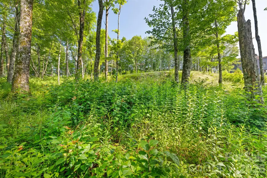 39 Skycamp Trail, Banner Elk, NC 28604 - #3