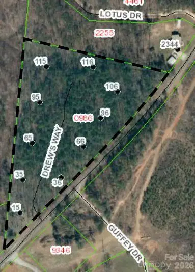 36 Vein Mountain Road #10, Dysartsville, NC 28761 - #2