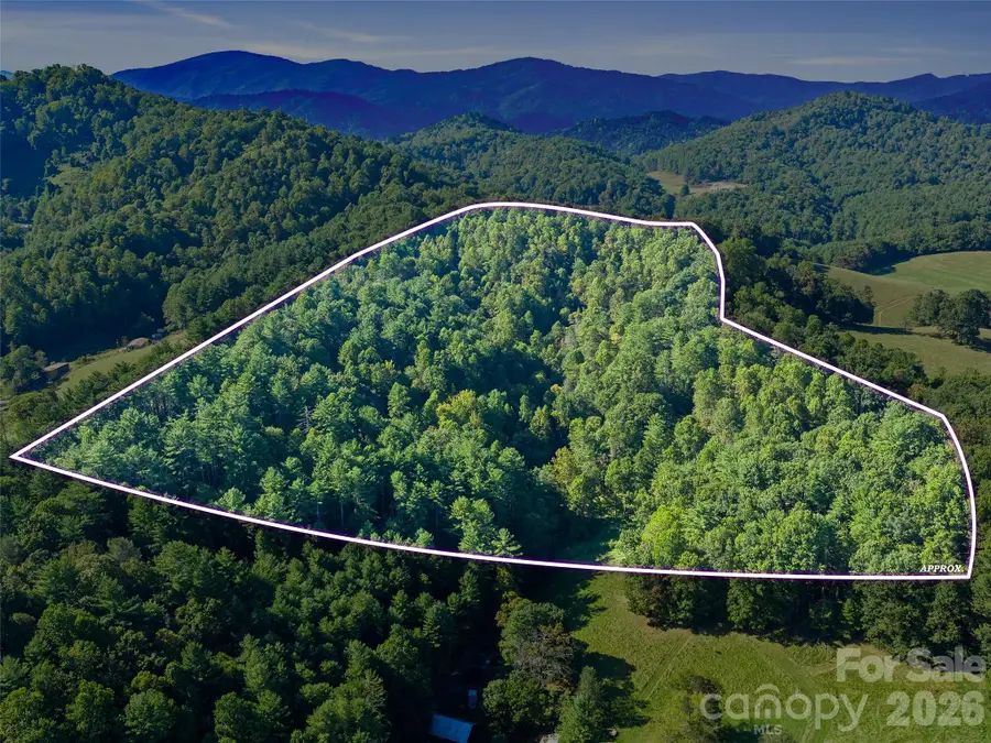 TBD Fog Hollow Drive, Green Mountain, NC 28740 - #2