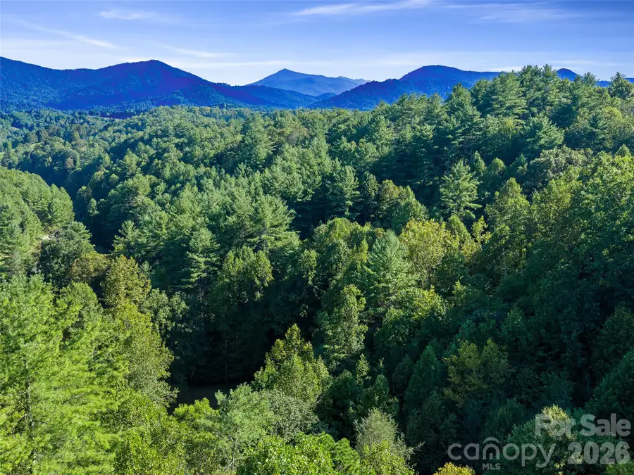 TBD Fog Hollow Drive, Green Mountain, NC 28740 - #3