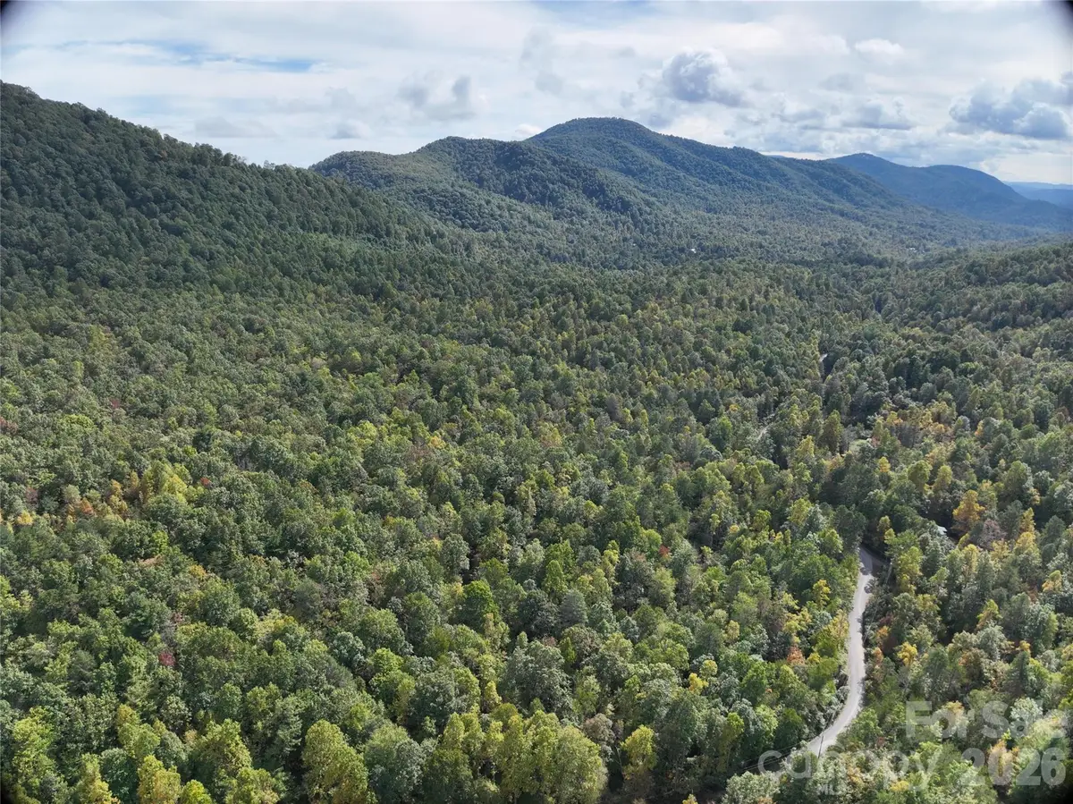 81 Bird Creek Estates Road, Black Mountain, NC 28711 - #1