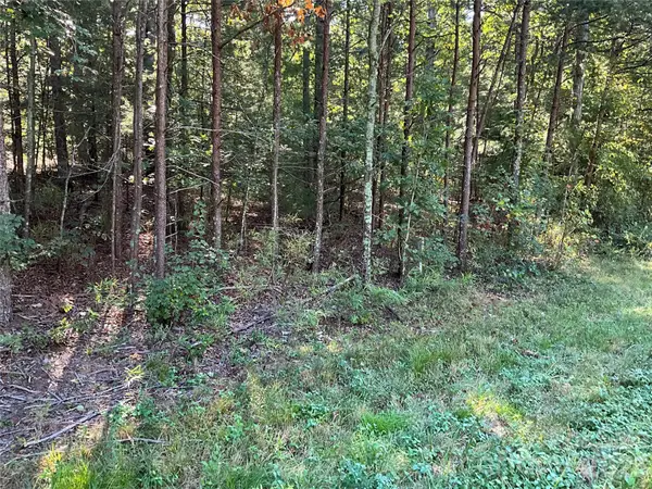 4.63 acres Jessie Mays Lane, Taylorsville, NC 28681