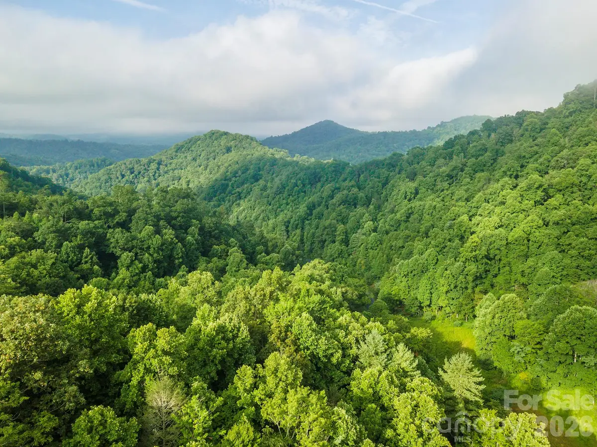 99999 Renfro Road, Green Mountain, NC 28740 - #1