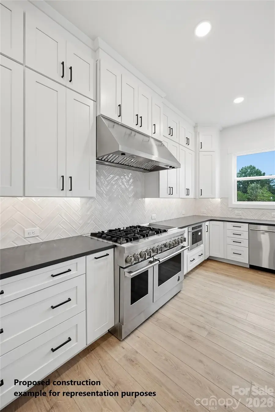 1006 Sophie Lane #36, Waxhaw, NC 28173 - #3