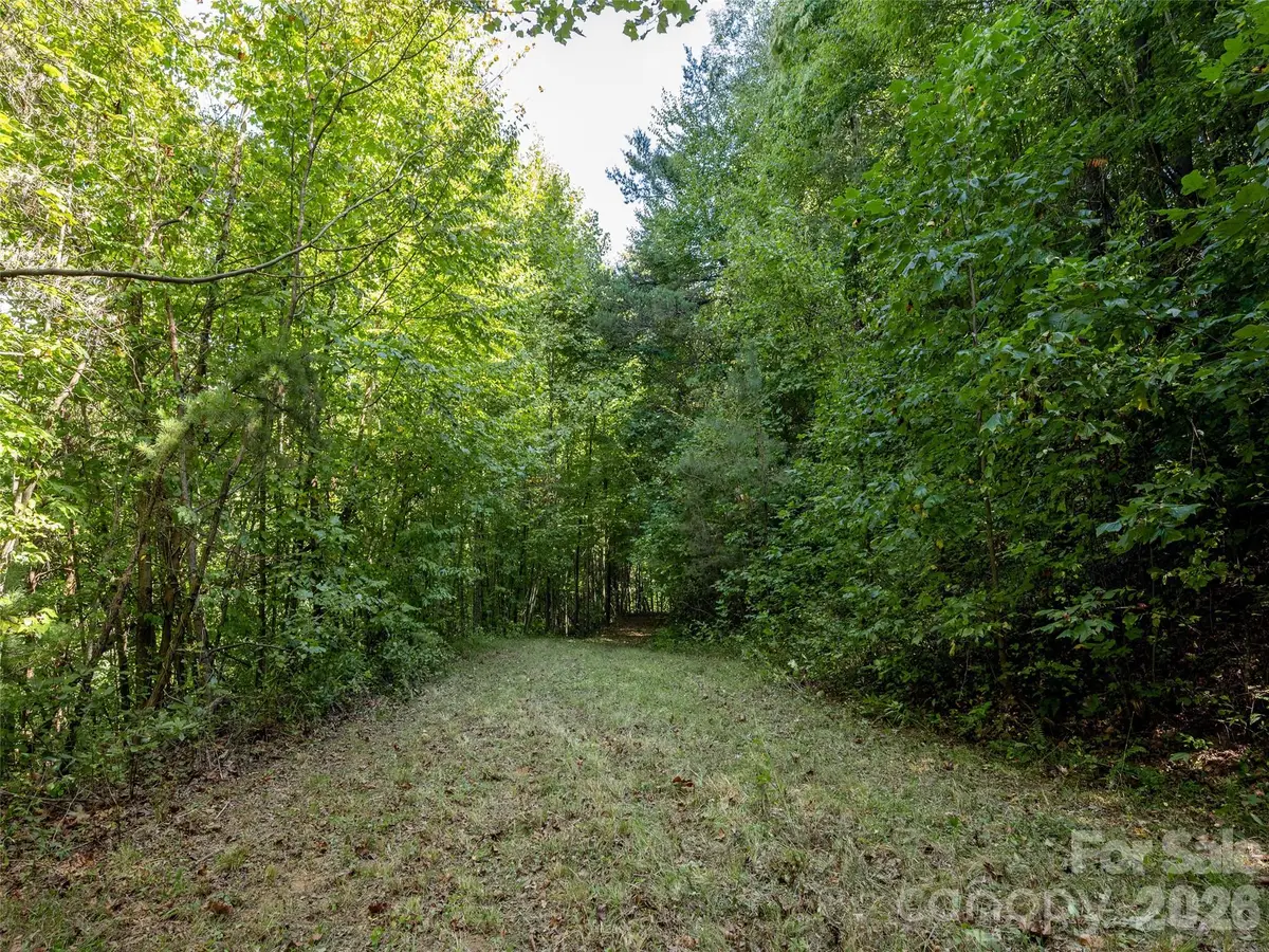 00 Newfound Road, Leicester, NC 28748 - #1
