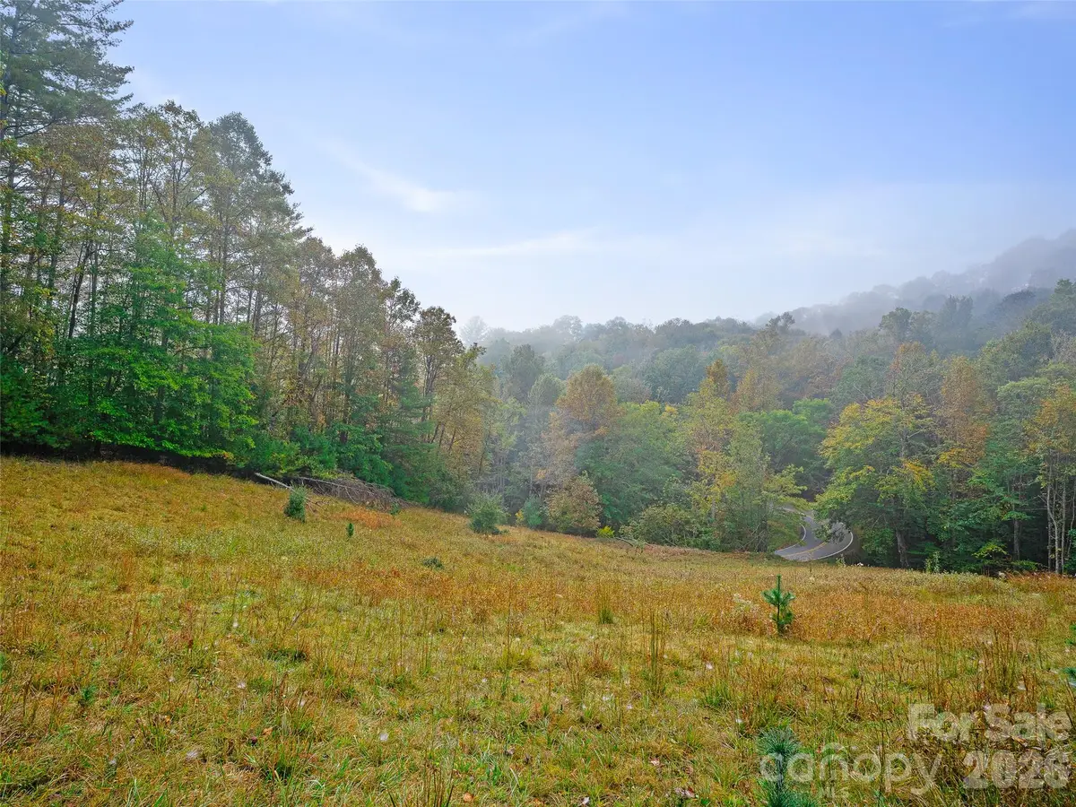 000 Double Island Road, Burnsville, NC 28714 - #1
