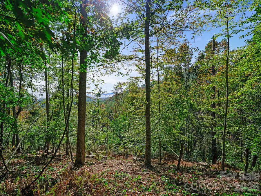 000 Double Island Road, Burnsville, NC 28714 - #2