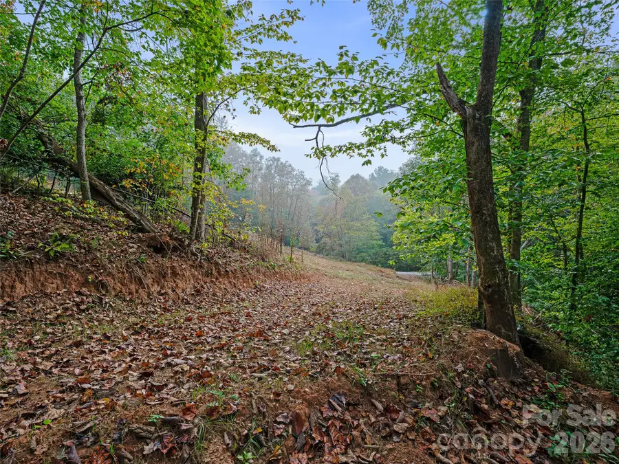 000 Double Island Road, Burnsville, NC 28714 - #3