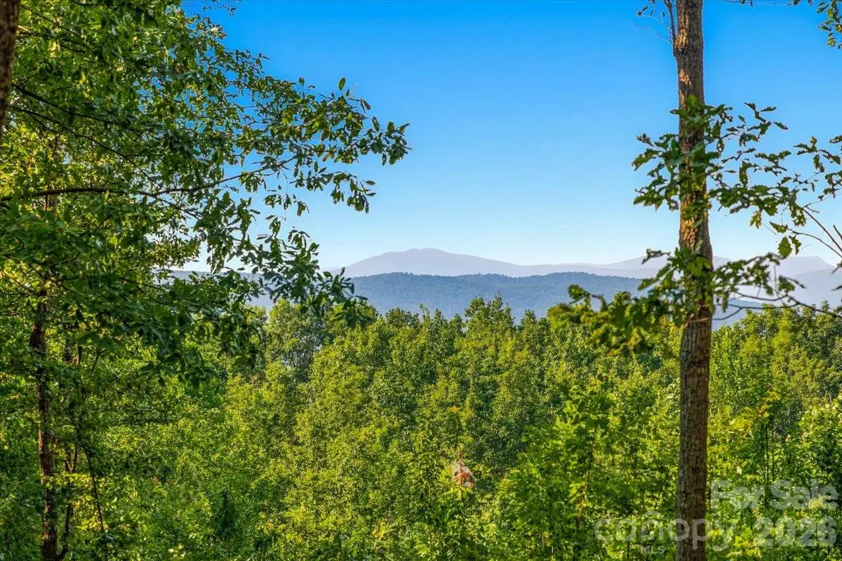 149 + 207 Mossy Oak Trail #167 + 166, Nebo, NC 28761 - #1