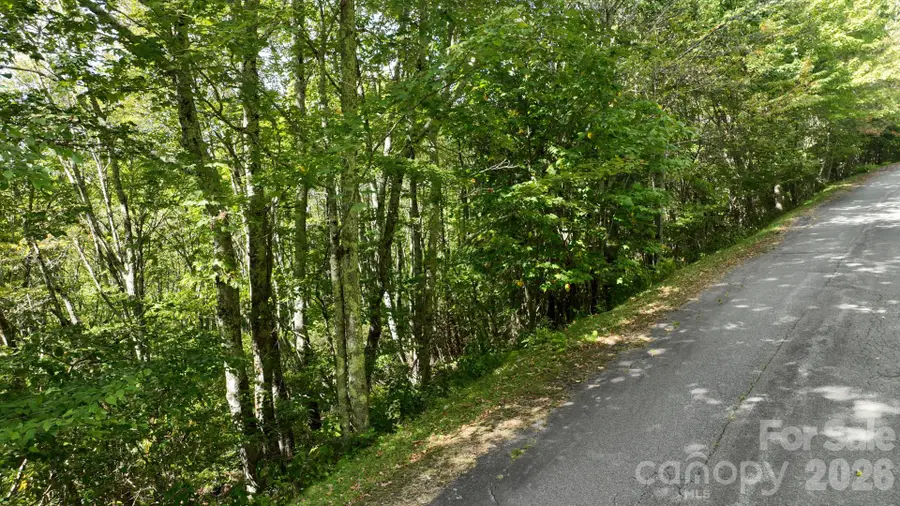 Lot 1 South View Trail #1, Banner Elk, NC 28604 - #2