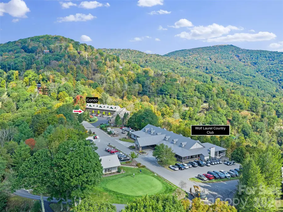 2521 Wolf Laurel Road #101, Mars Hill, NC 28754 - #3