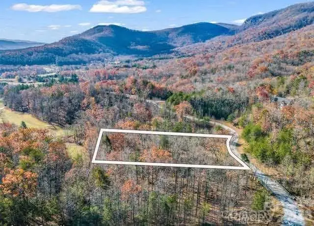 0 Deep Gap Farm None E, Mill Spring, NC 28756 - #2