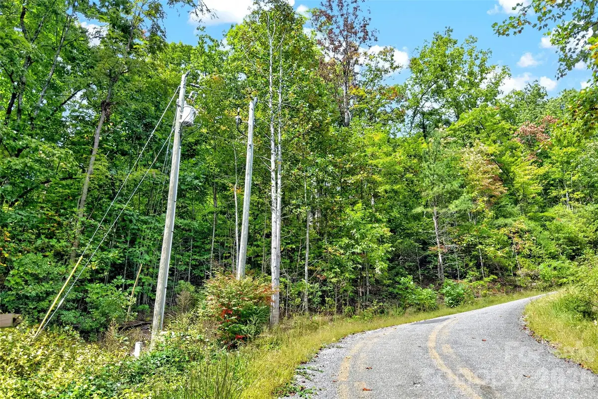 999 Rhododendron Rhododendron Drive #743, Old Fort, NC 28762 - #1