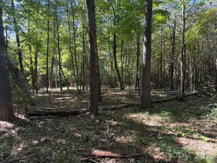 3523 Pax Hill Road, Morganton, NC 28655 - #2