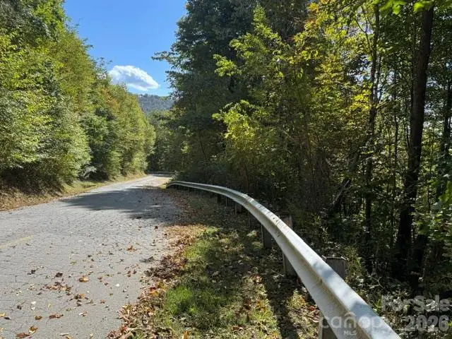 50 Scenic Wolf Ridge Road, Mars Hill, NC 28754 - #3
