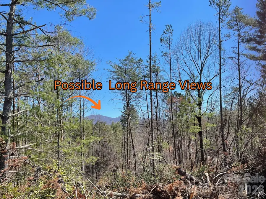 81 Union Chapel Road, Weaverville, NC 28787 - #3