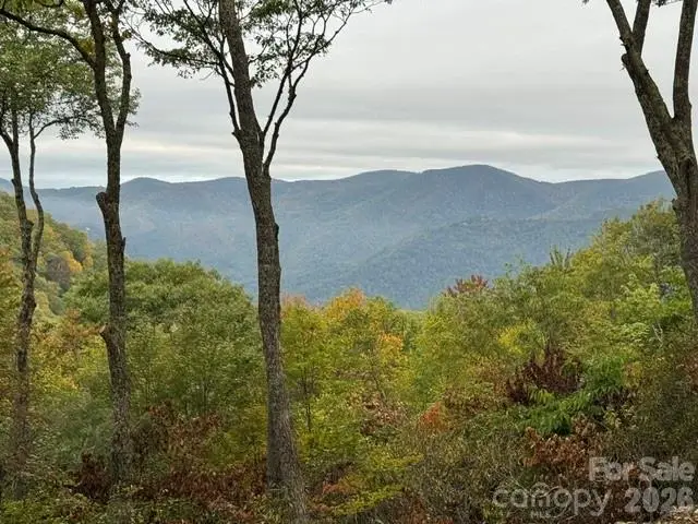 270 Olli Trail, Maggie Valley, NC 28751 - #2