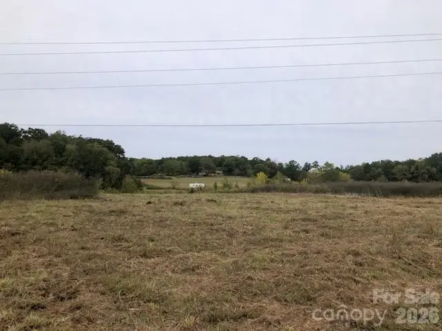 Lot 1 Mount Pleasant Road S, 9 Georgeville, NC 20825 - #1