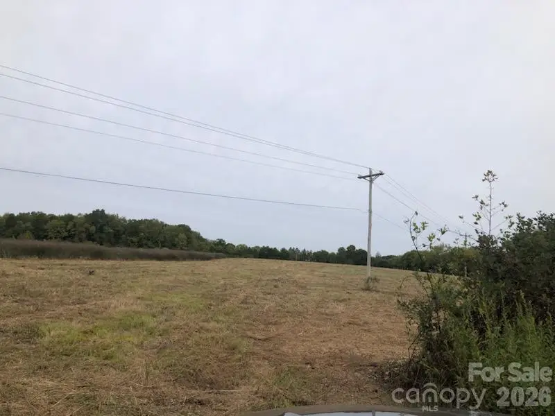 Lot 1 Mount Pleasant Road S, 9 Georgeville, NC 20825 - #3
