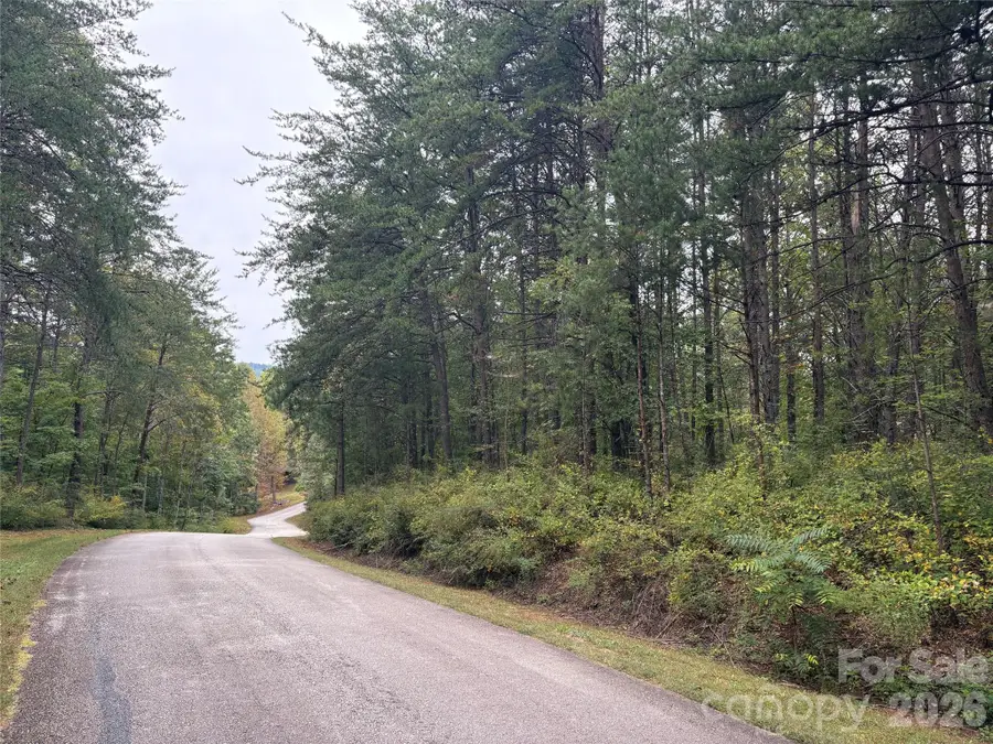 lot 19 Silent Forest Way, Lake Lure, NC 28746 - #2