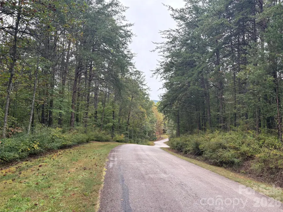 lot 19 Silent Forest Way, Lake Lure, NC 28746 - #3