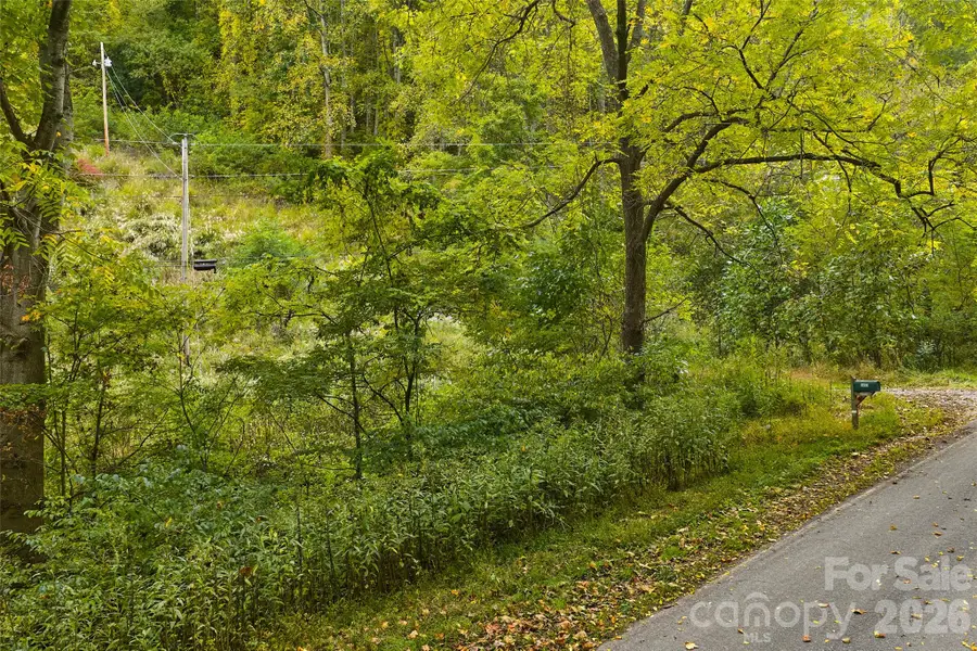 348 Chandler Creek Road, Mars Hill, NC 28754 - #3