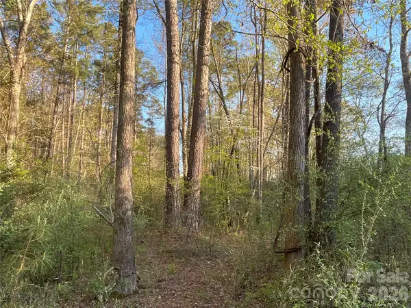 161 Little River Trail #1, Indian Land, SC 29707
