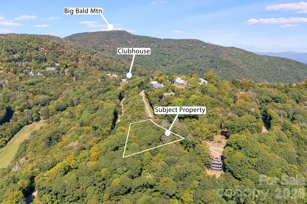 731 Mckinney Gap Drive, Mars Hill, NC 28754 - #1