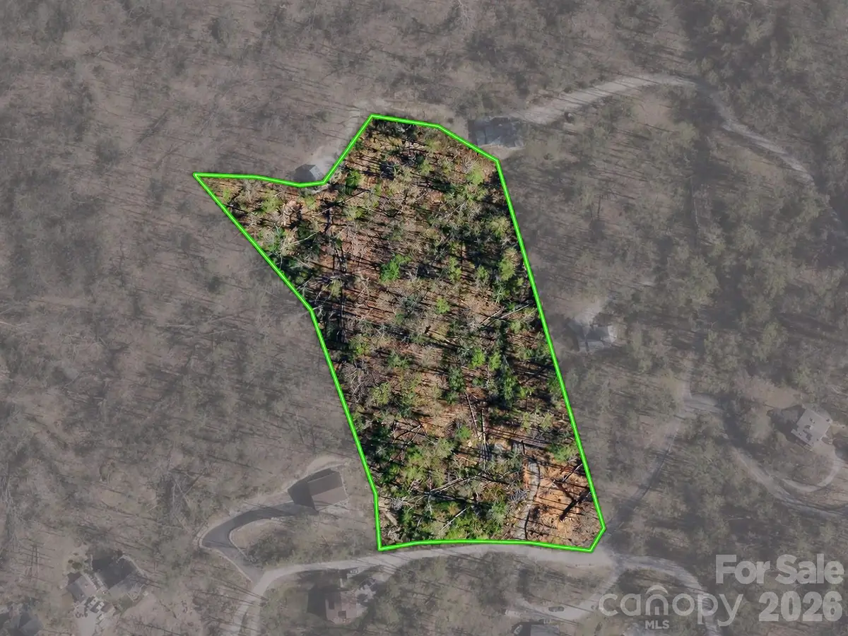 6 Pioneer Lane, Hendersonville, NC 28792 - #1