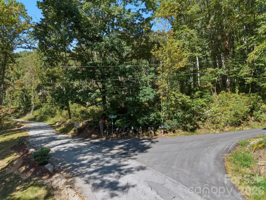 6 Pioneer Lane, Hendersonville, NC 28792 - #2