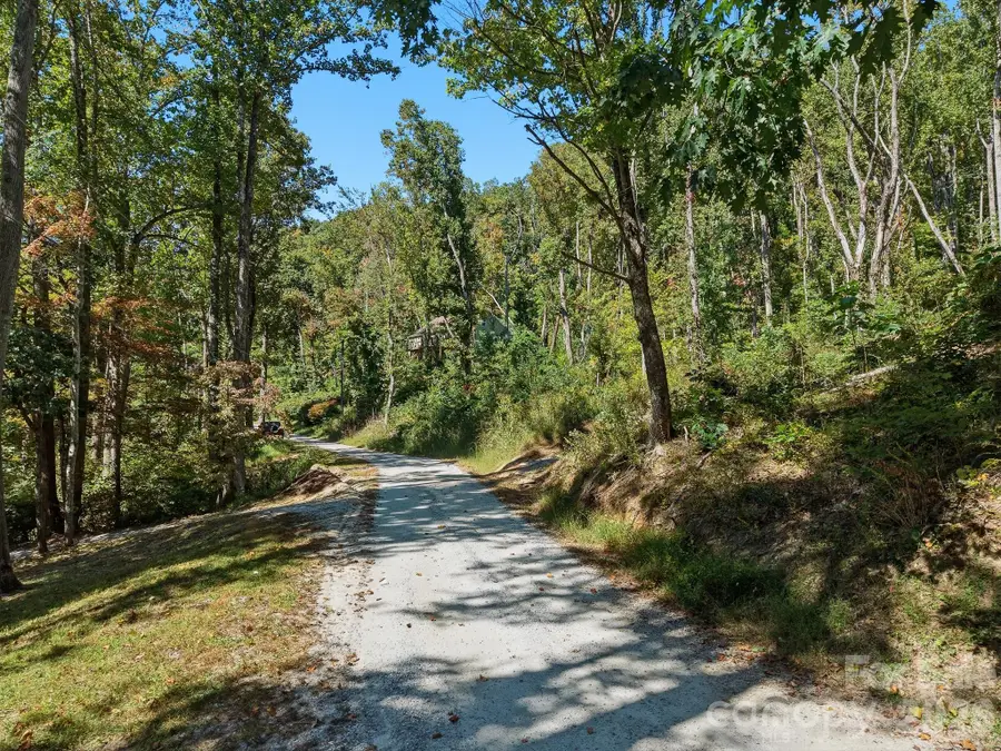 6 Pioneer Lane, Hendersonville, NC 28792 - #3