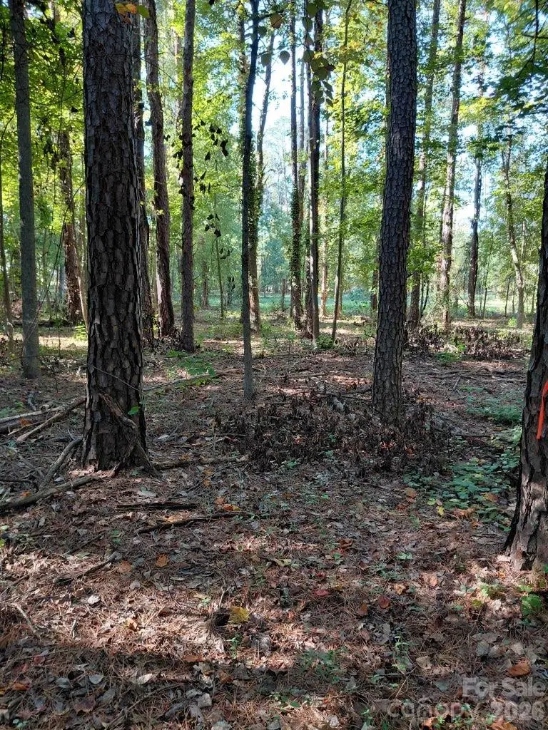 000 Nc Hwy 73 Highway, Huntersville, NC 28078 - #1