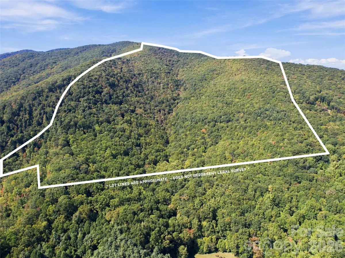 00 Orion Davis Road, Waynesville, NC 28786 - #1